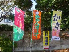 石井柑橘園