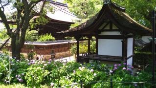 藤森神社