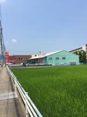 ドラッグストアコスモス　有田店