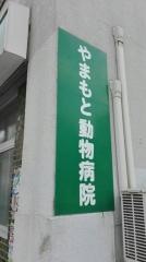 やまもと動物病院中央区本院