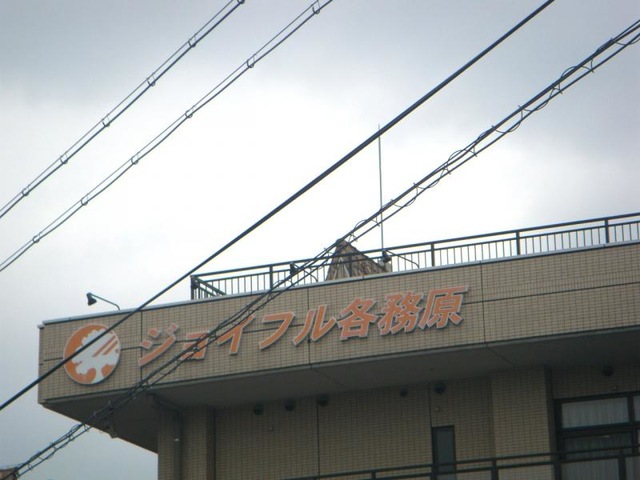 ジョイフル各務原