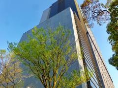東京海上日動あんしん生命保険株式会社　東東京生保支社