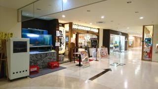 駿河屋久兵衛　沼津店