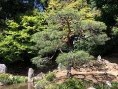 大善寺庭園