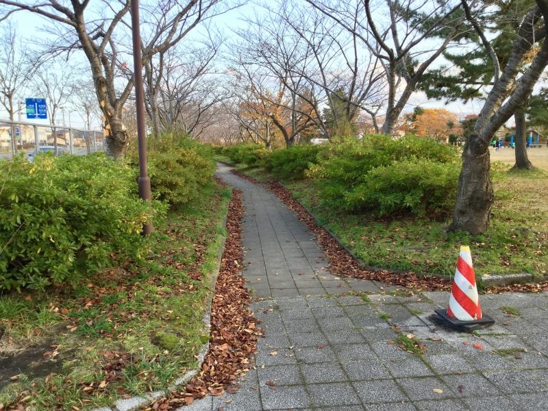 前谷地近隣公園