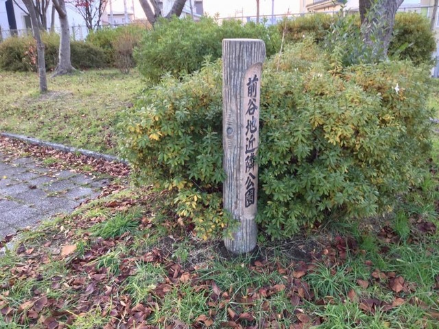 投稿写真1