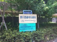 野川西蔵寺丸緑地
