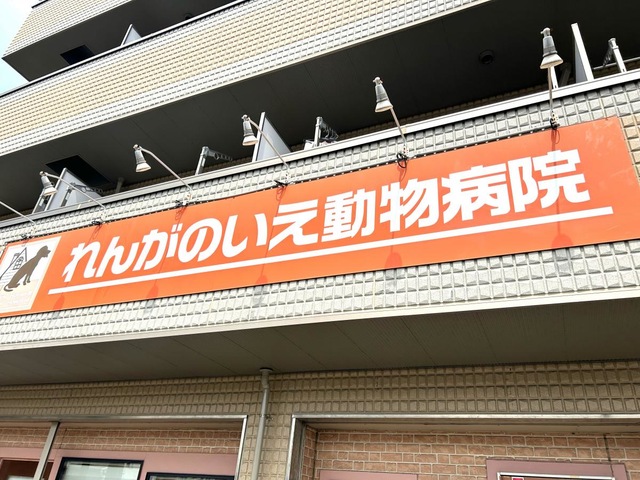 投稿写真2