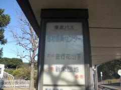 「花と緑の振興センター」バス停留所