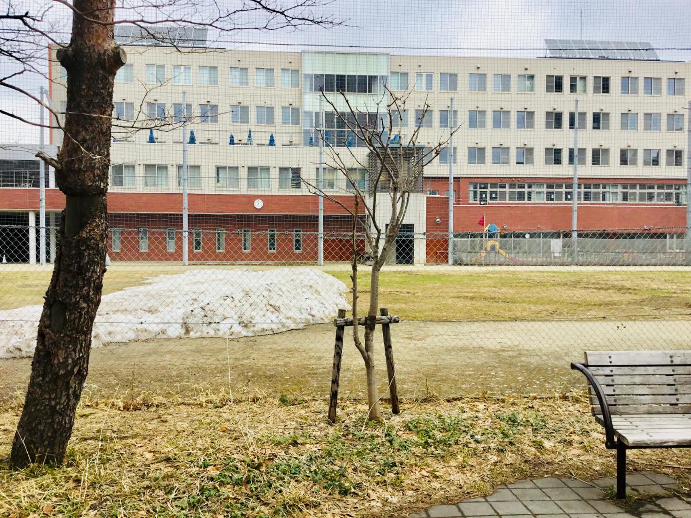 市立 札幌 大通 高等 学校