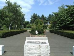 新川中央公園