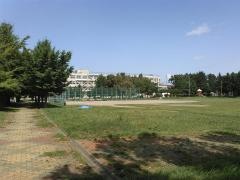 新川中央公園