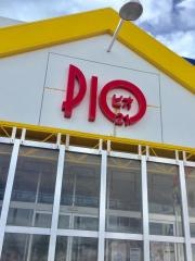 ＰＩＯ21