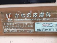かわの皮膚科