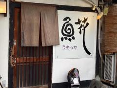 魚花