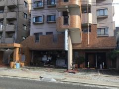 えびすや猫洞店