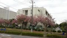 成田市立吾妻中学校