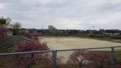 成田市立吾妻中学校