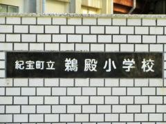 鵜殿小学校