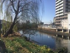 熱田橋街園