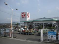 コメリハード＆グリーン　阿波店