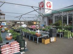 コメリハード＆グリーン　阿波店