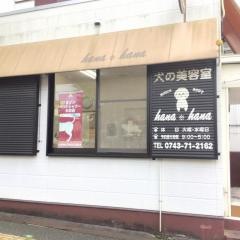 ｈａｎａｈａｎａ