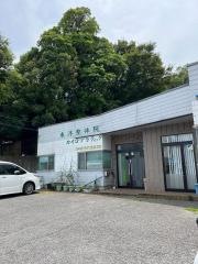 崔整体カイロ療術院
