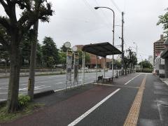 「市役所」バス停留所