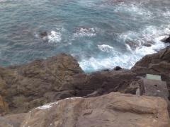 桂浜