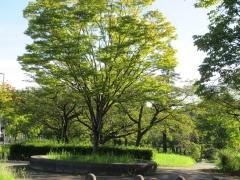平和公園