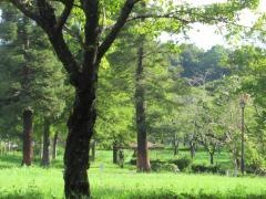 平和公園