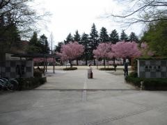 錦町公園