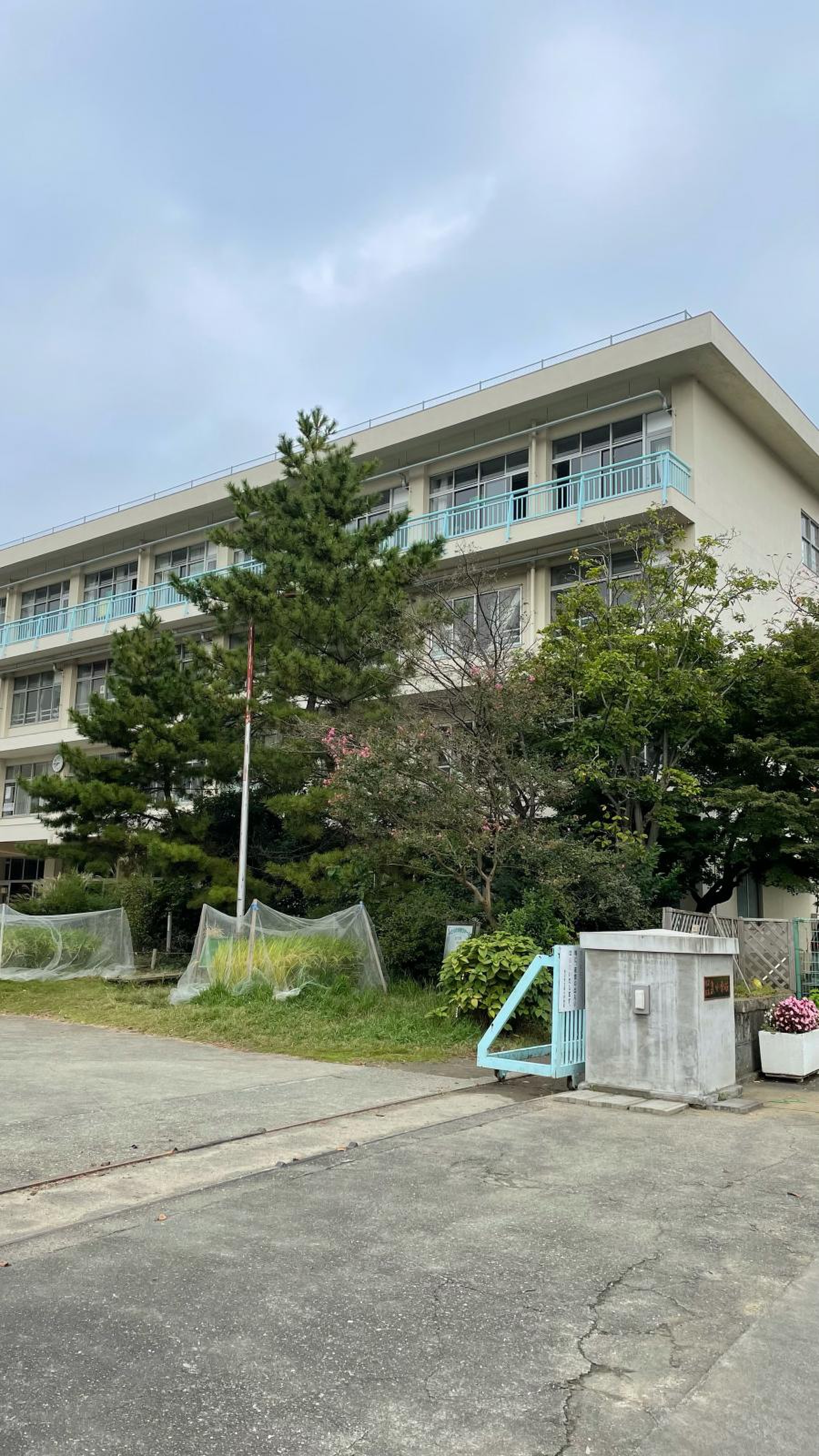 所沢 市立 泉 小学校