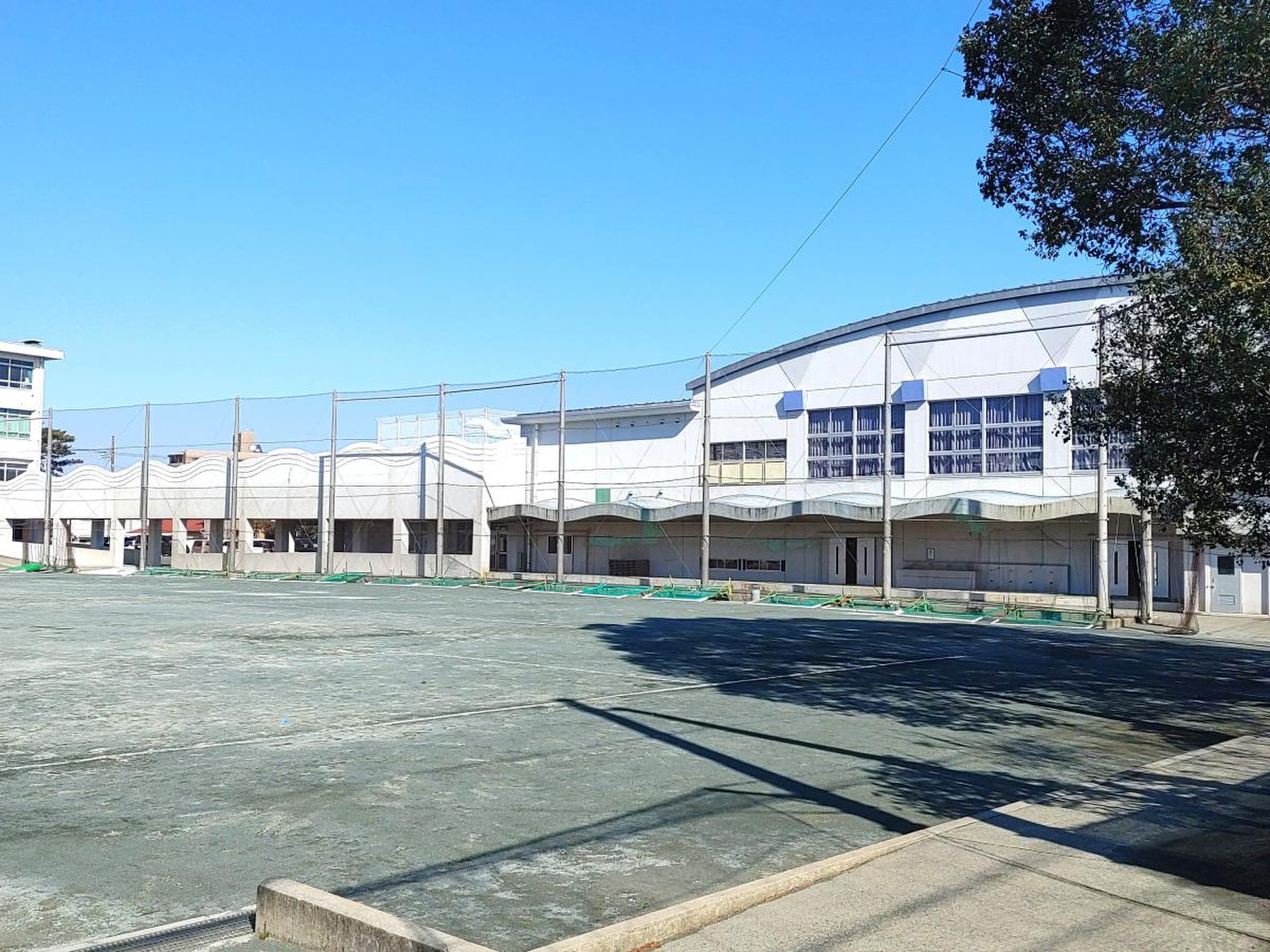 公の場での発言・インタビュー報道記録