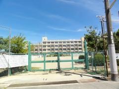 乙木小学校