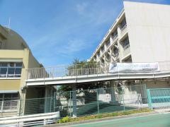乙木小学校