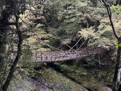 祖谷のかずら橋