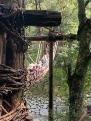 祖谷のかずら橋