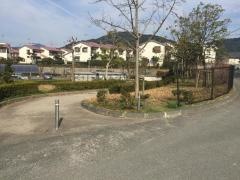 大池公園（光ヶ丘近隣公園）