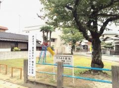 那珂4号緑地