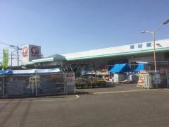コメリハード＆グリーン　田平店