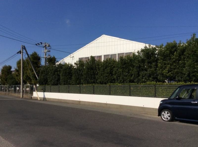 ニホンフラッシュ5