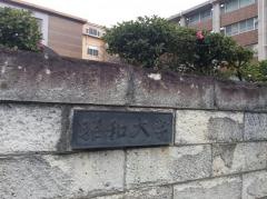 昭和大学大学院