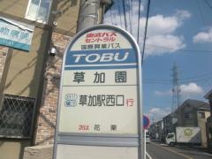「草加園」バス停留所