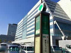 「フェリー埠頭入口」バス停留所