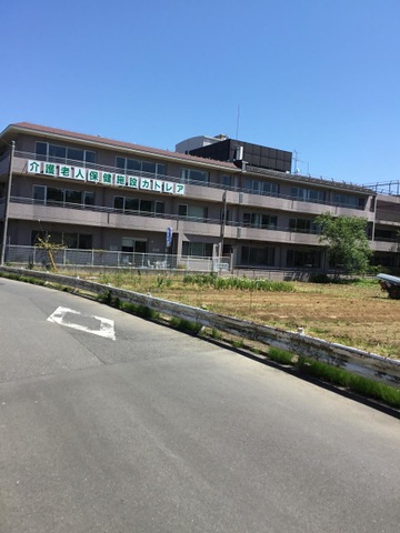 カトレア