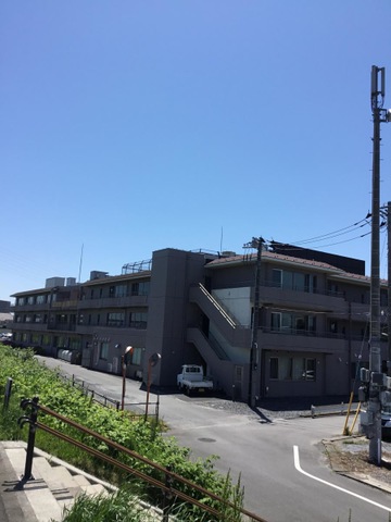 カトレア