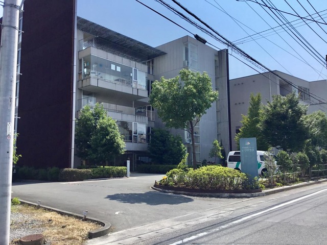 いづテラス