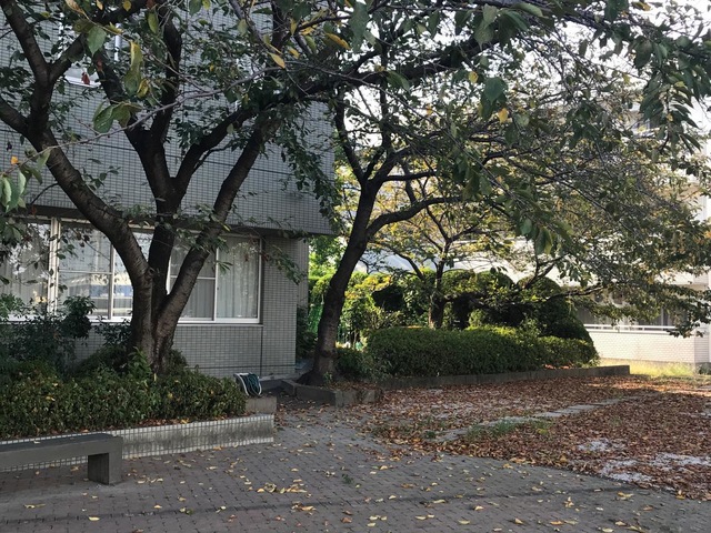 老人保健施設　七宝園 風景
